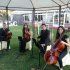 Ceremonia Religiosa en La Colegial y Cóctel en Finca La Vega